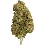 Girl Scout Cookies (AA)