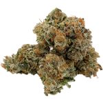 Hindu Kush (AAA)