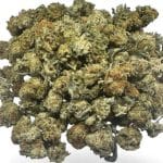AAA popcorn buds- Gummy Bear OG