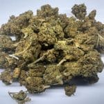BC Kush (AA)