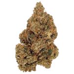 Platinum Rockstar