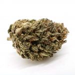 Purple Kush Strain