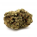 Nuken (AA) (Budget Buds)