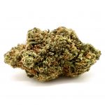 Orange Cookies(AA+)