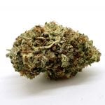 Tuna Kush (AA)