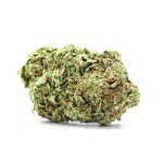 Black Domina (AAA)