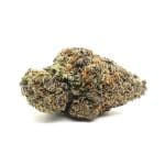 Black Gorilla (AAA)