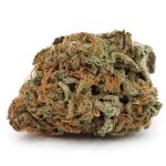 Master Kush(AA)(budget buds)