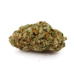 Space Monkey(AAA)