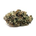 El Chapo Strain