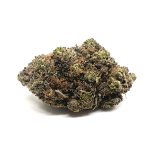 Night Nurse (AAA)