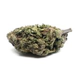 Black Nuken (AAA)