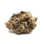 Gelato 45 Strain (AAAA+)