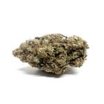 Jack Herer Strain