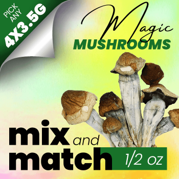 Mix and Match Magic Mushrooms Bundle – Half Ounce Mixer (Pick any 4)