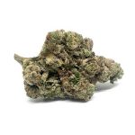Apple and Bananas by Major Quad Farms(AAAA+)(Craft/Exotic)(Smalls)