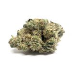 Cheetah Piss by Major Quad Farms(AAAA+)(Craft/Exotic) (Smalls)- Flower