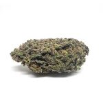 Gelato(AAA+)