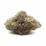 Animal Cookies Strain