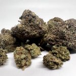 Mixed Buds