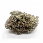 Wifi OG Strain
