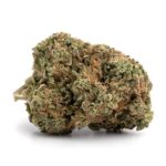 Lindsay OG(AAAA)