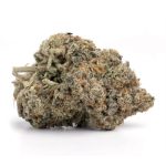Hindu Kush(AAAA+) Wholesale