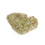 Monster Cookies