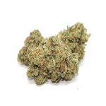 Scooby Snacks(AAA)