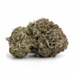 Gas Mask Bubba(AAAA)