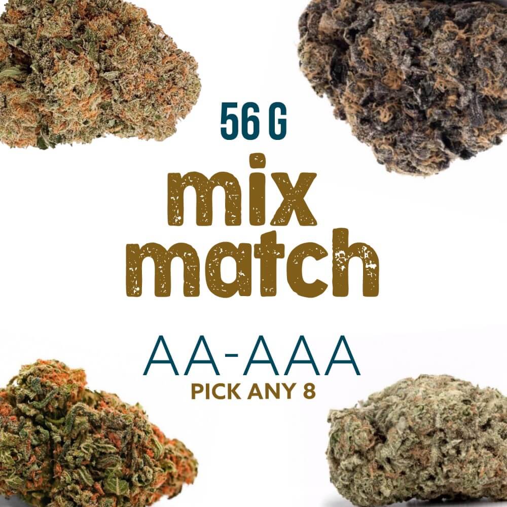 Source photograph: MIX & MATCH