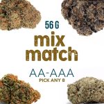AA-AAA (56G) – Mix & Match – Pick Any 8