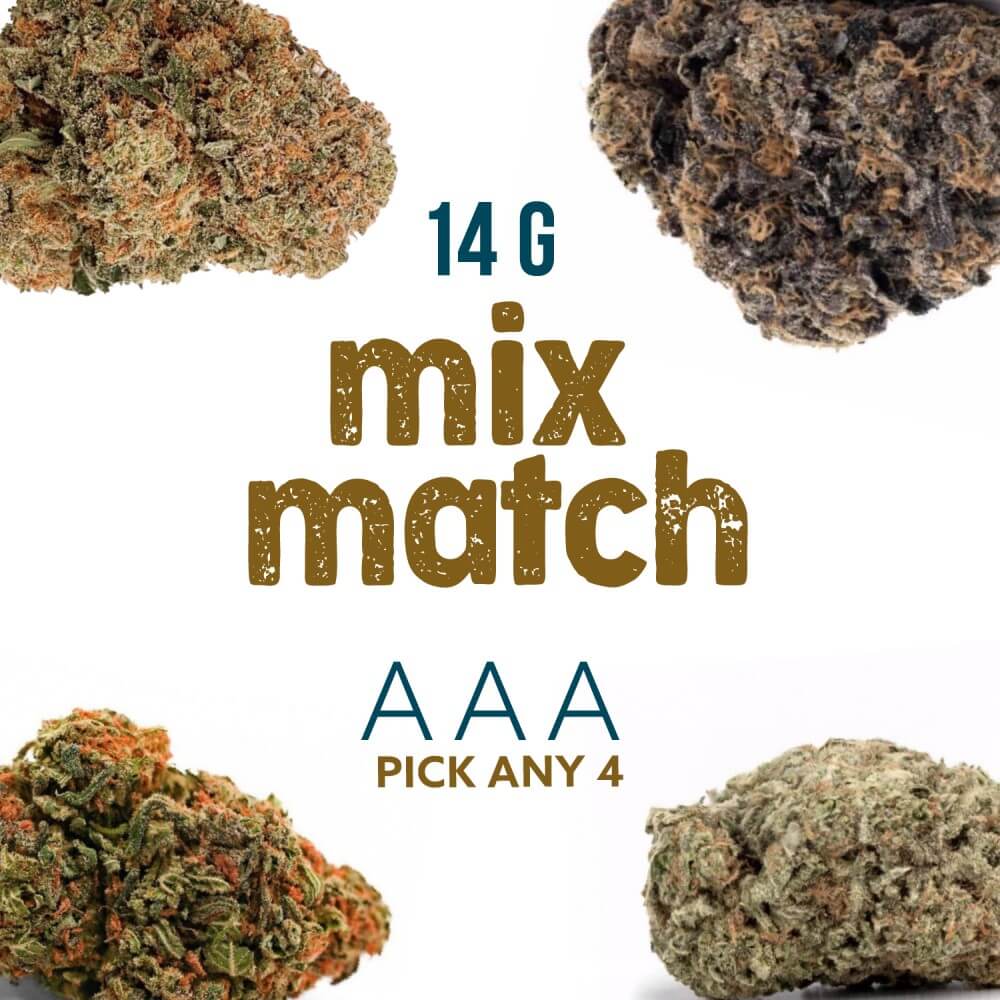 Source photograph: MIX & MATCH