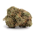 Comatose OG(AAAA)