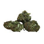 Jelly Breath(A)(Outdoor)