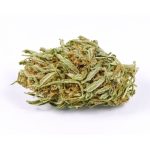 Organic Seawarp