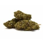 Blueberry(A)(outdoor)