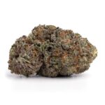 Purple Rhino(AAAA)