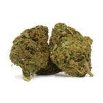 Cali Orange(AA)
