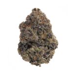 Jet Fuel Gelato(AAAA)