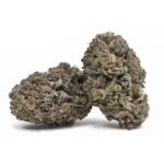 Platinum Master OG Kush(AAA+)