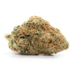 Critical Kush