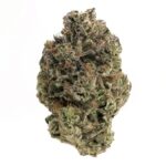 Godzilla Glue(AAAA)