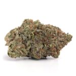 Hash Plant(AAA+)