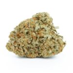 Moby dick(AAA+)