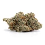 Sugar Cookies(AA+)
