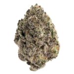 Black Truffle(AAA)