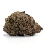 Purple Nuken(AAA+)