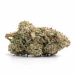 Apple Fritter(AAA+)