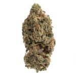 Tropical Punch(AAA+)